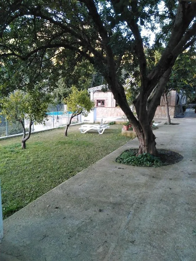贝纳马奥马 La Fuente De El Nacimiento旅馆
